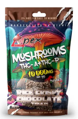 Mushroom Rice Crispy Chocolate Treats EU