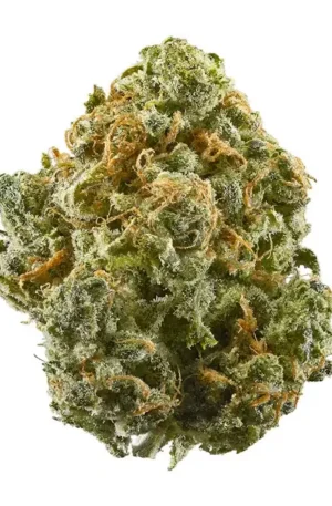 Blue Dream EU
