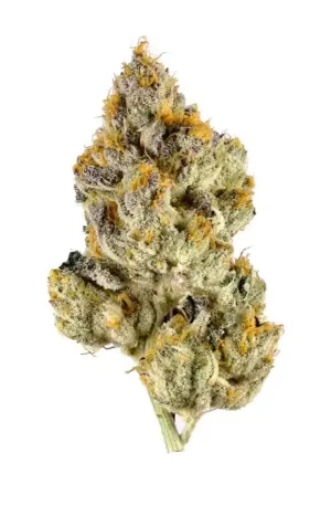 Lemon Cherry Gelato Strain EU